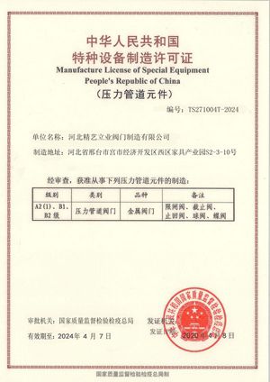 Лицензия по производству TS Китая